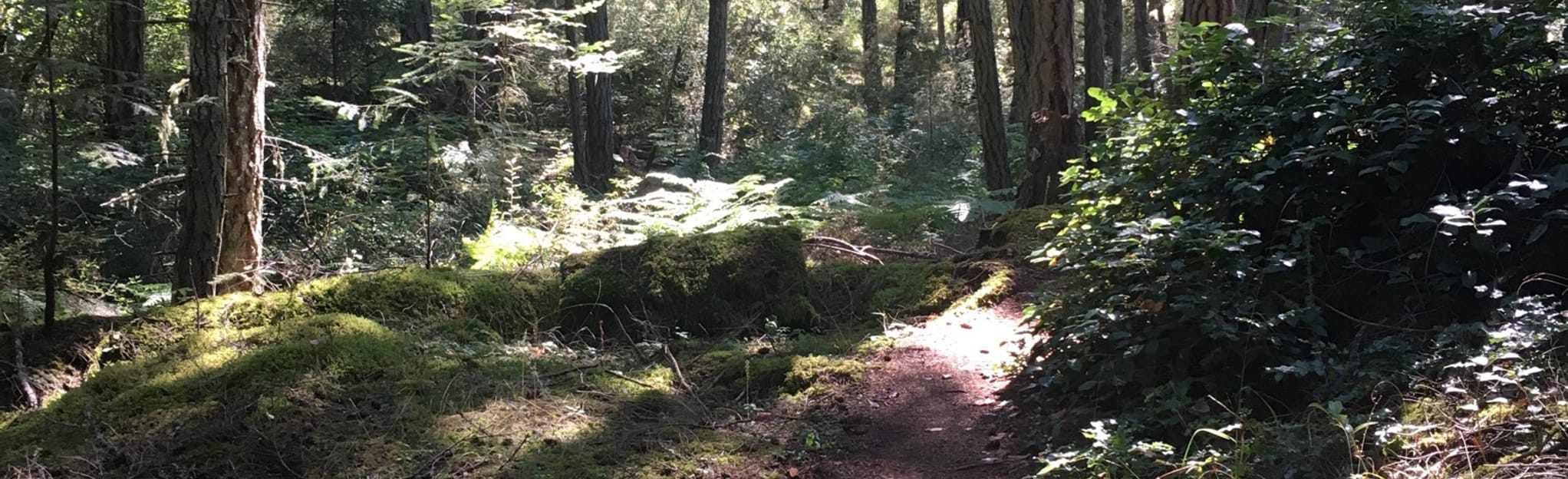 AllTrails | Lopez Hill Loop: 24 Reviews, Map - Washington