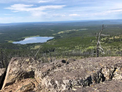 Best trails near Observation Peak AllTrails