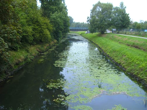 Von Osnabrück über Büren und Engter