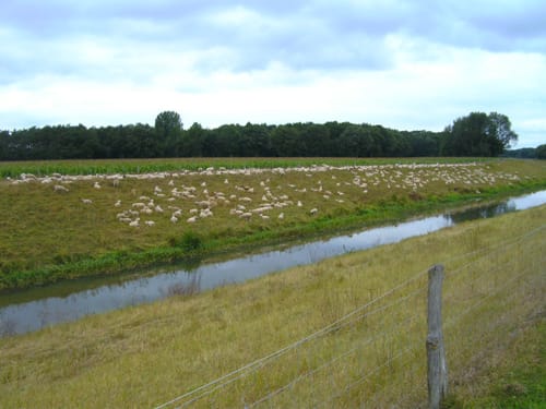 Hase-Ems-Tour Etappe 2: Osnabrück - Quakenbrück