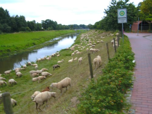 Hase-Ems-Tour Etappe 2: Osnabrück - Quakenbrück
