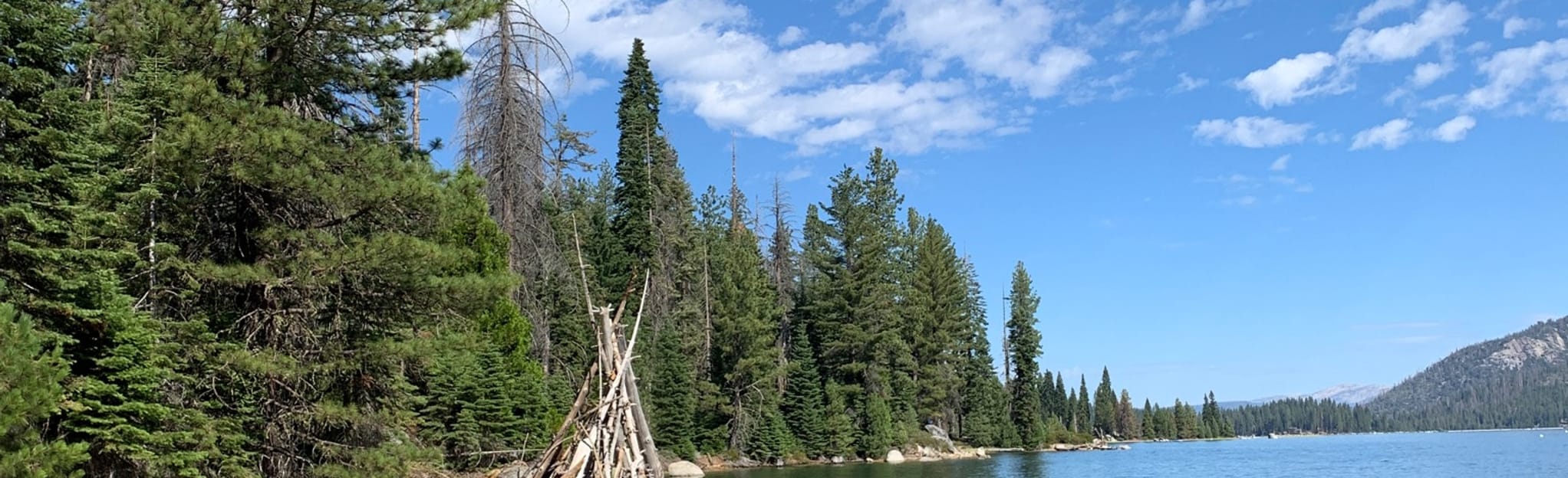 Shaver Lake Trail California AllTrails