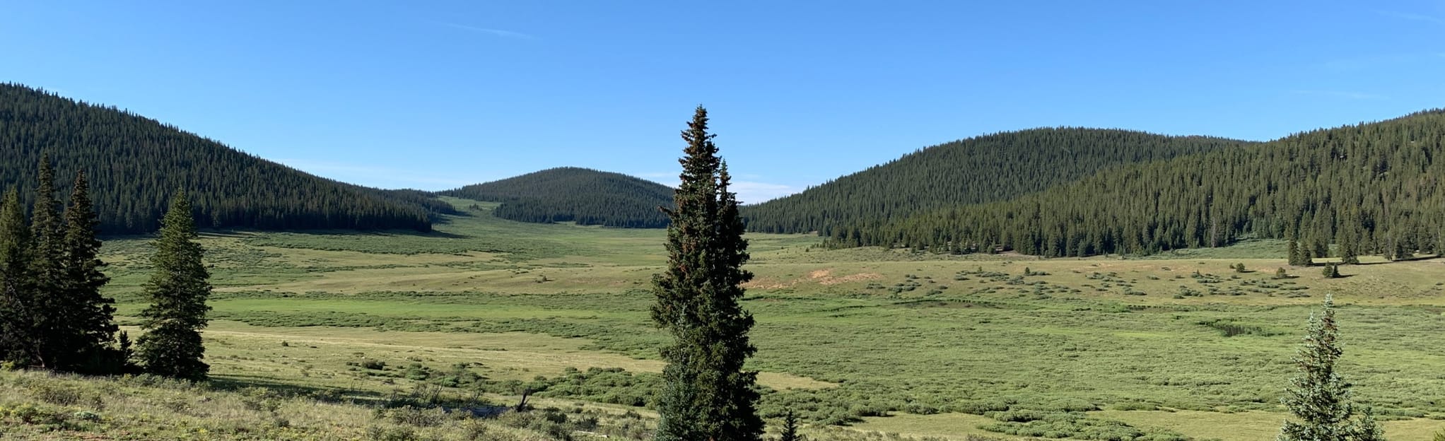 Buffalo Meadows Via Rich Creek 50 Reviews, Map Colorado AllTrails