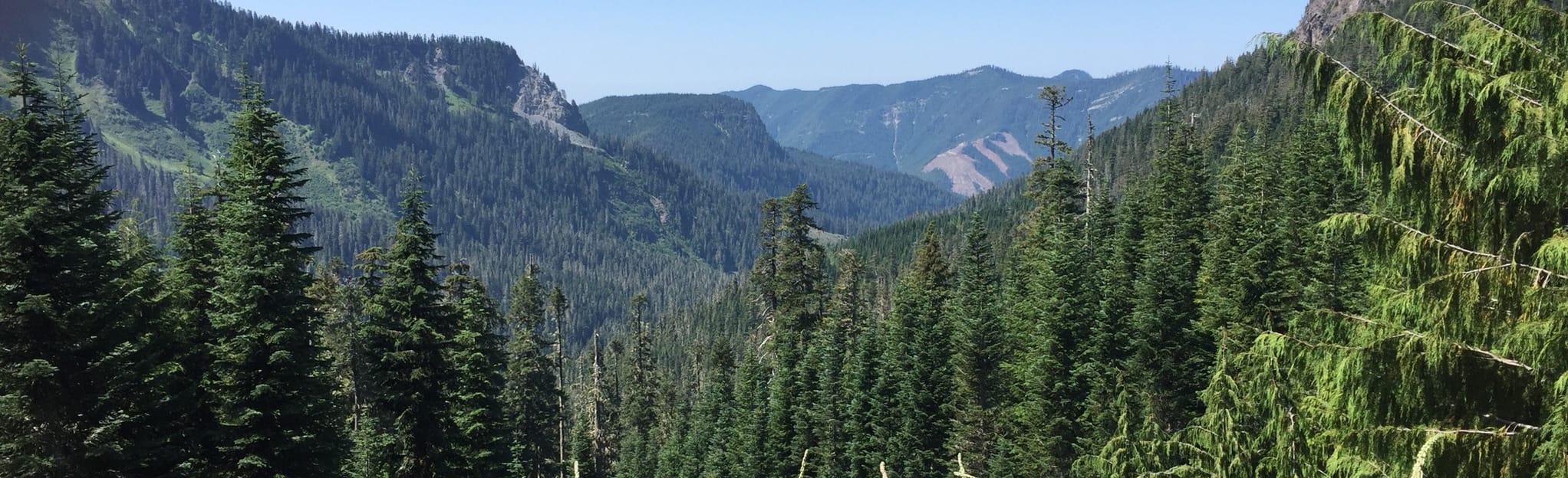 Grouse Ridge Trail, Washington - 13 Reviews, Map | AllTrails