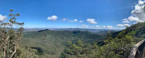 10 Best Wild Flowers Trails in Queensland | AllTrails