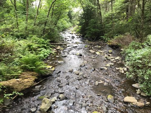 2023 Best Beach Trails In Oswald West State Park Alltrails