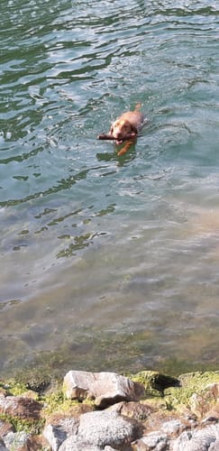 Von Bergkamen zum Datteln-Hamm-Kanal