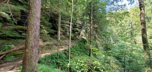 2023 Best 10 Trails and Hikes in Ohio | AllTrails