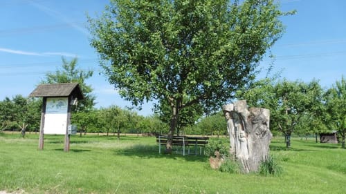 Marktour Pfaffenhofen