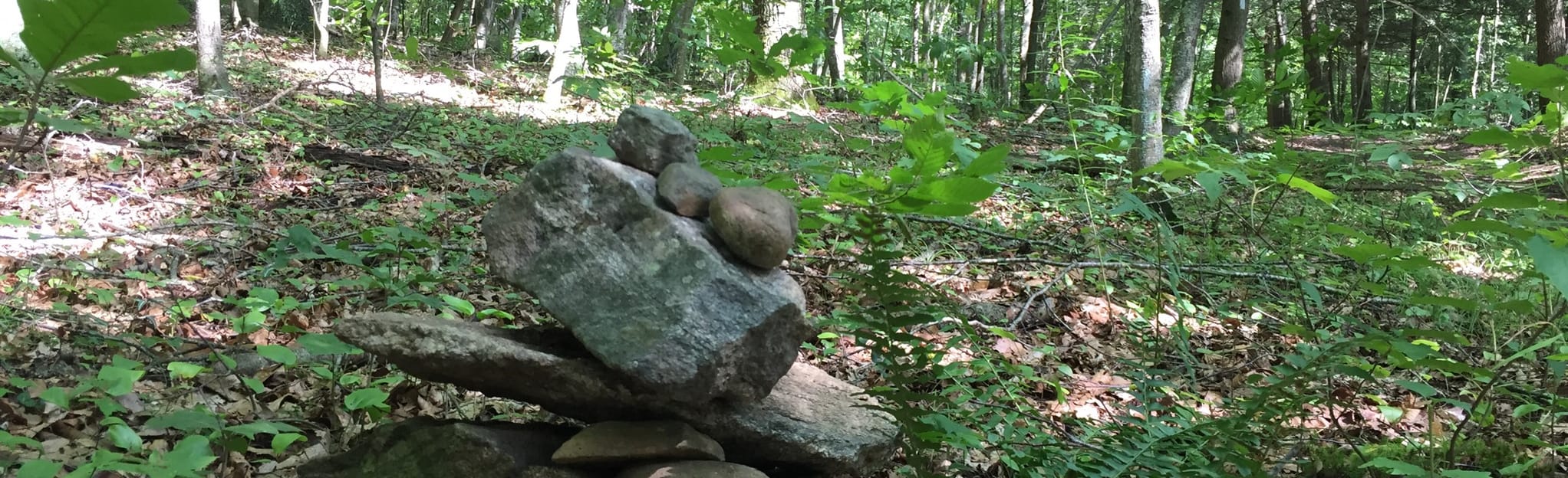 Chaffee Trail, Connecticut 14 Reviews, Map AllTrails