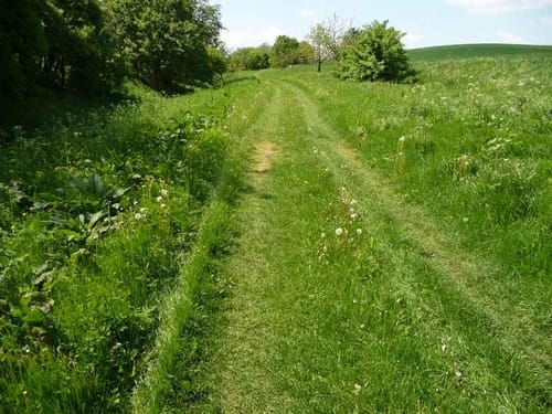 Röblingen - Nebra - Halle