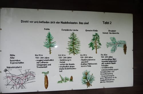 Naturlehrpfad Dippelsbachgrund