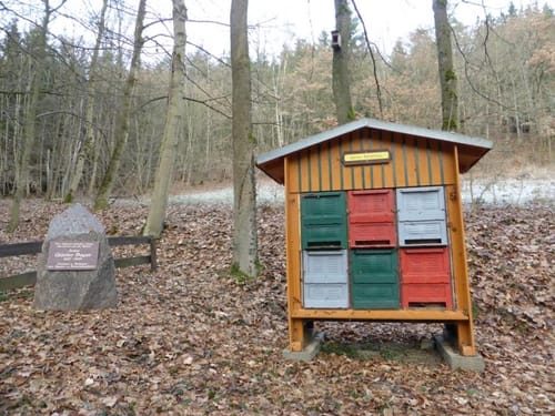 Bienen und Naturlehrpfad