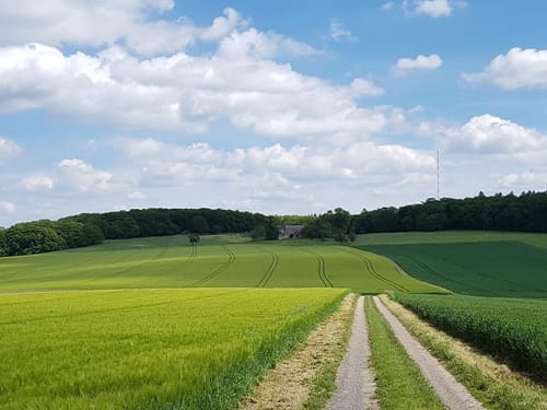 Neufeld Runde 4