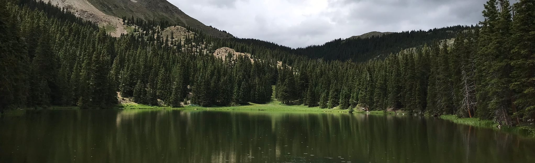 Heart Lake Trail 105 Reviews, Map New Mexico AllTrails