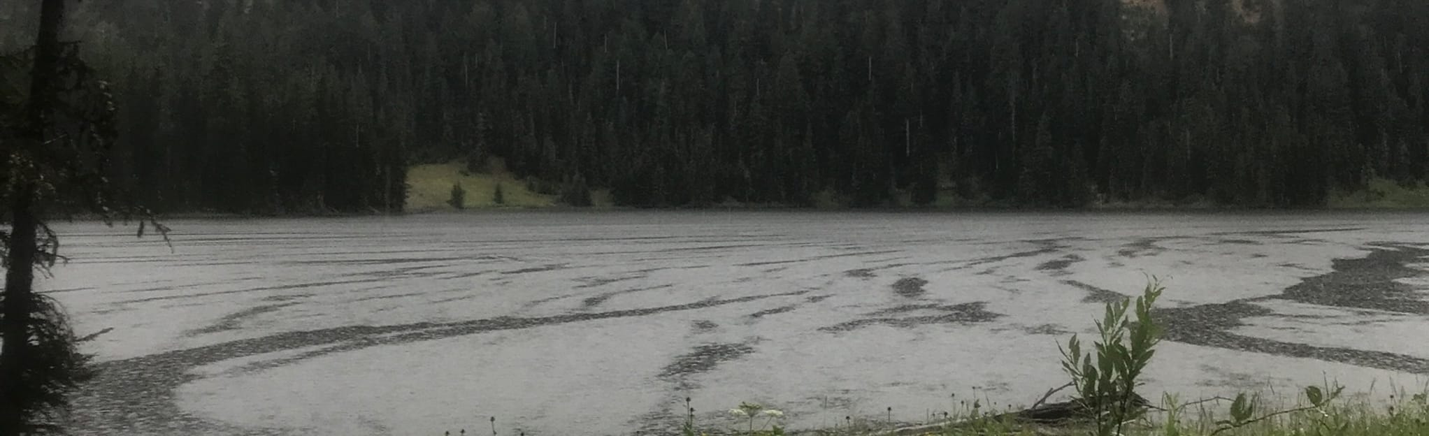 Johnson Lake Trail, Montana 54 Reviews, Map AllTrails