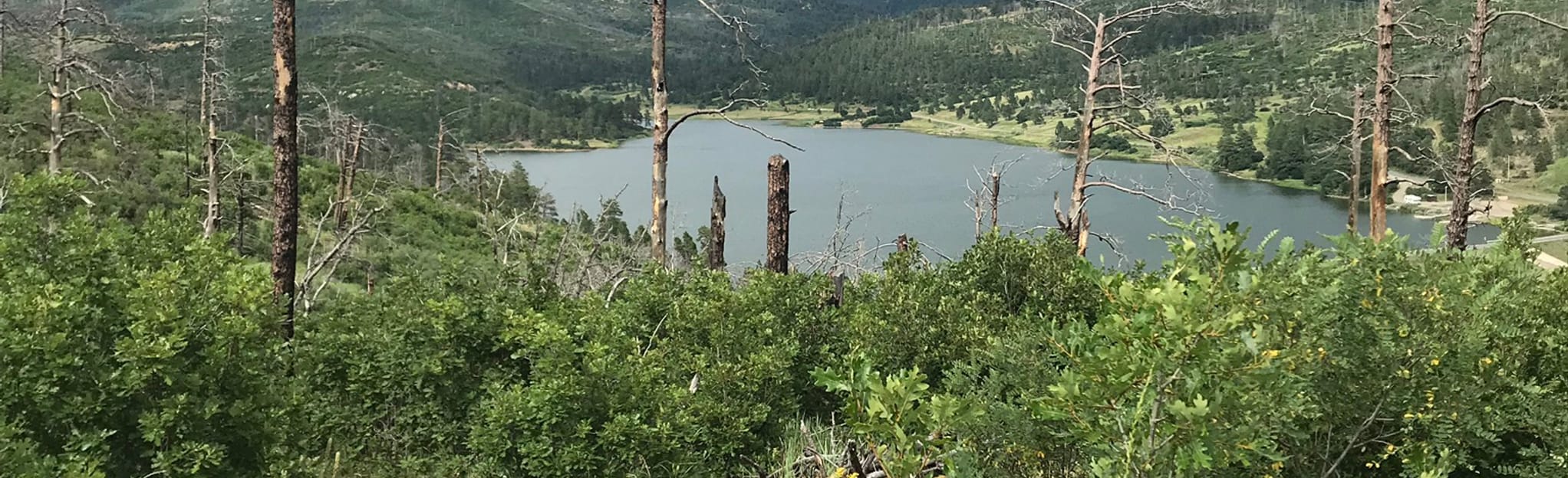 Ponderosa Ridge Trail, New Mexico 16 Reviews, Map AllTrails