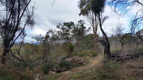 2023 Best trails in Kate Reed Nature Recreation Area | AllTrails