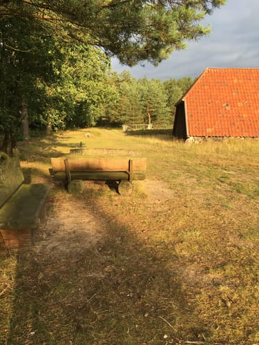 Naturlehrpfad Bodenteicher Heide