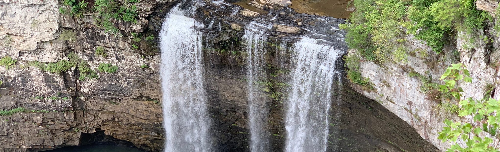 Overlook and Woodland Trails, Tennessee 2,173 Reviews, Map