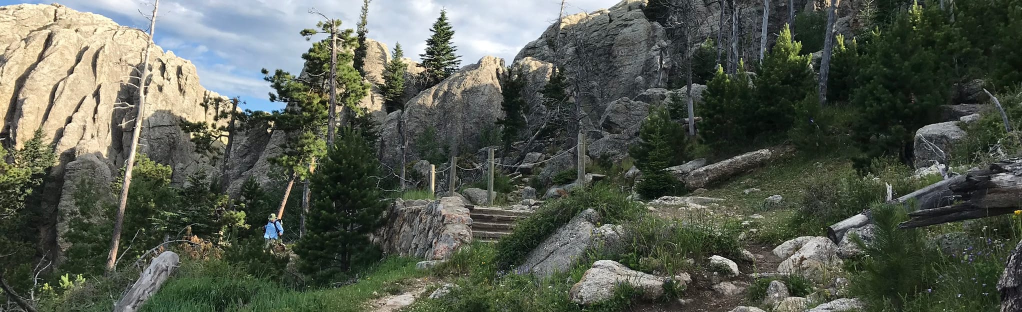Black Elk Peak via Willow Creek Horse Camp 115 Reviews, Map South