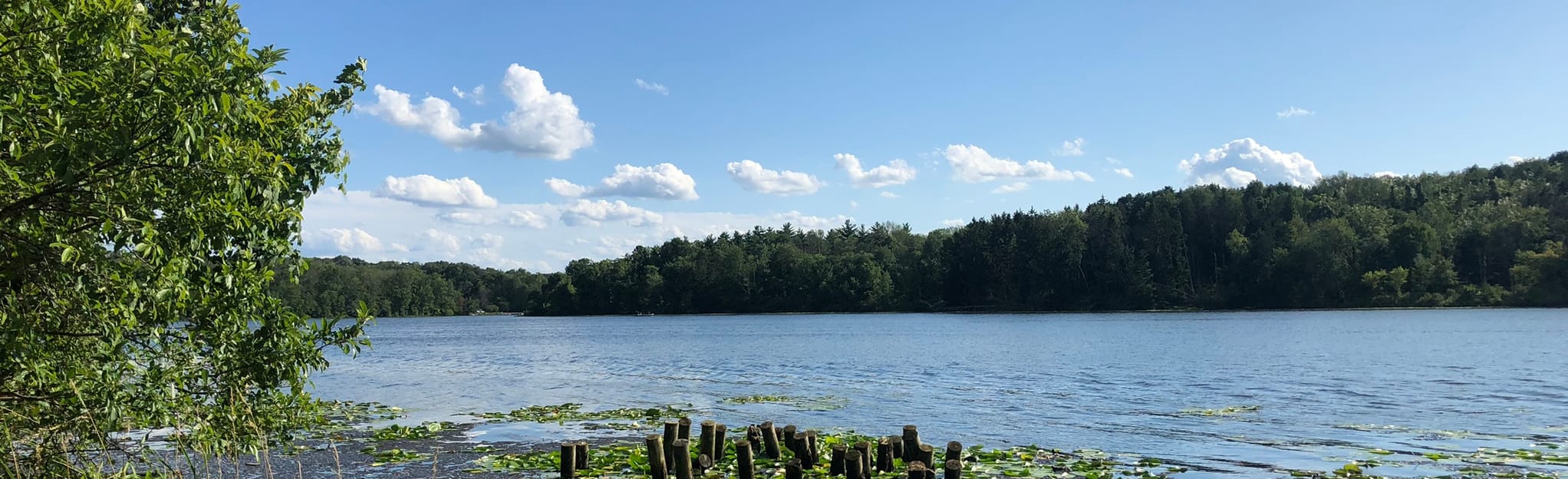 Lake Nockamixon Quarry Trail, Pennsylvania 642 Reviews, Map AllTrails