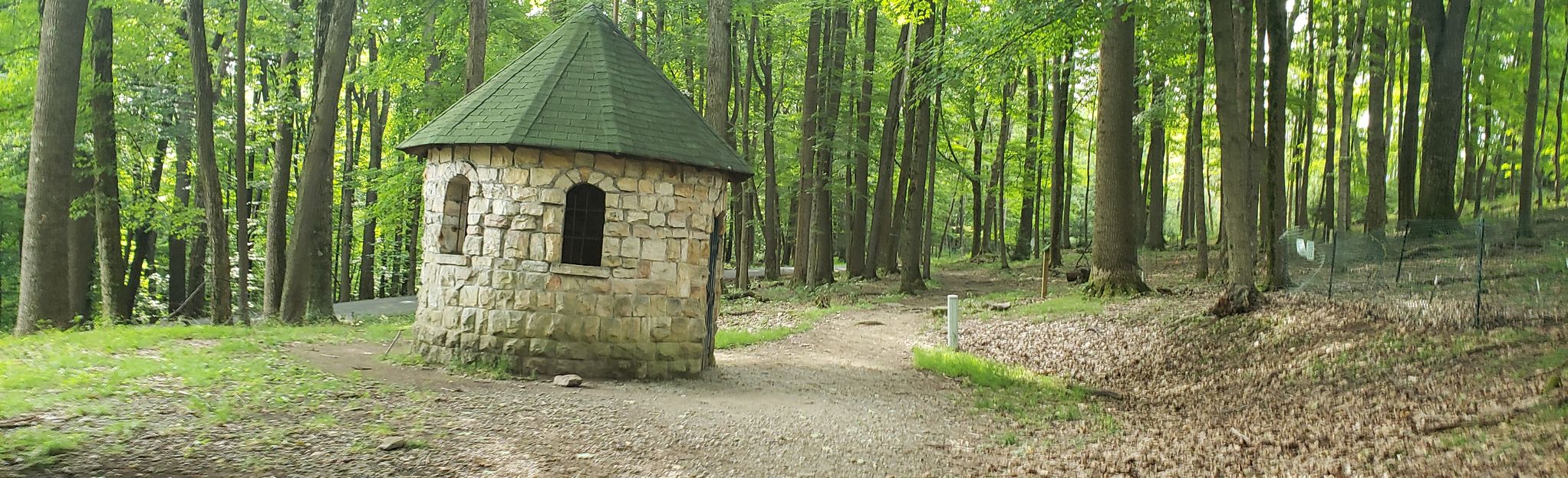 Coopers Rock State Forest Loop: 590 Reviews, Map - West Virginia ...