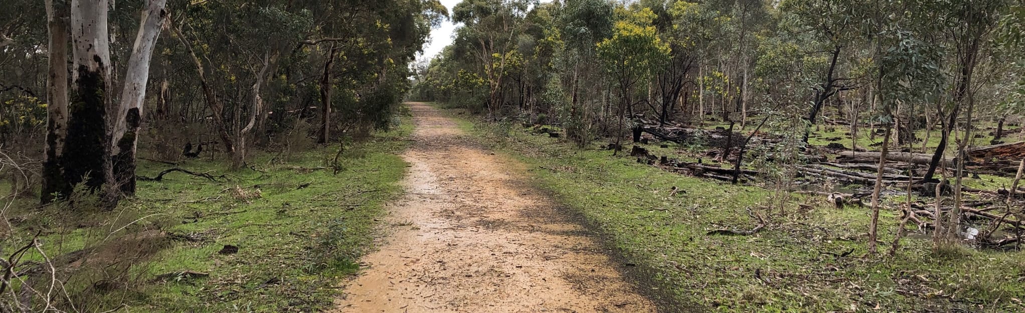 Heysen Trail Dashwood Gully to Mylor 56 Reviews, Map South