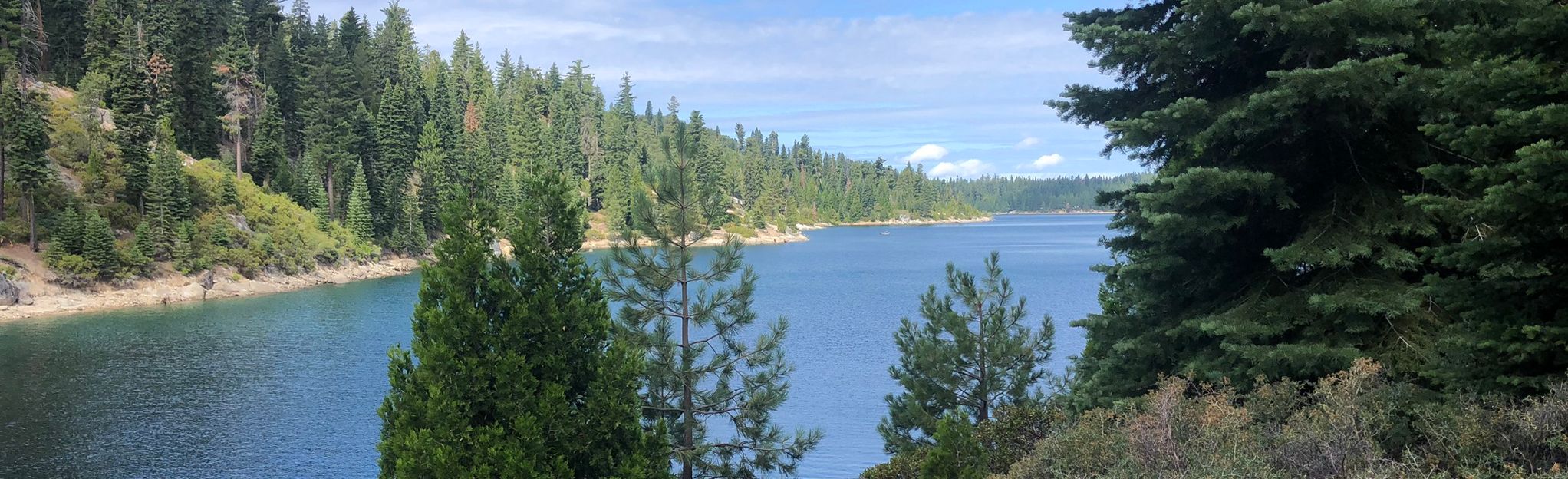 Ice House Reservoir Loop, California - 52 Reviews, Map | AllTrails