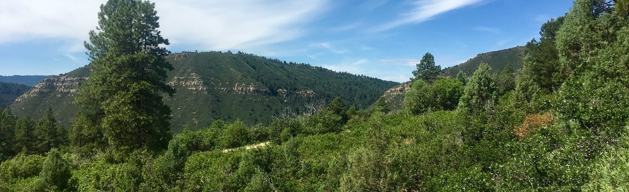Twin Buttes and Lightner Creek Loop Colorado AllTrails