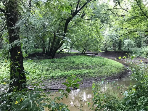 10 Best Easy Trails in Robert Allerton Park | AllTrails