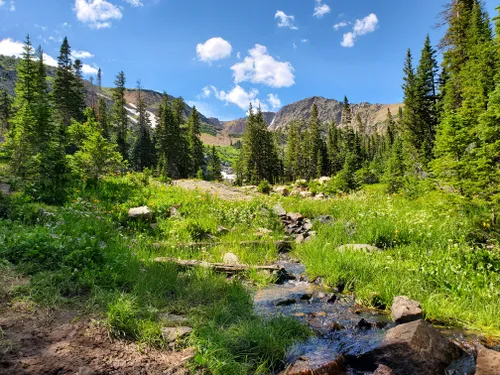 10 Best Trails and Hikes in Black Hawk | AllTrails