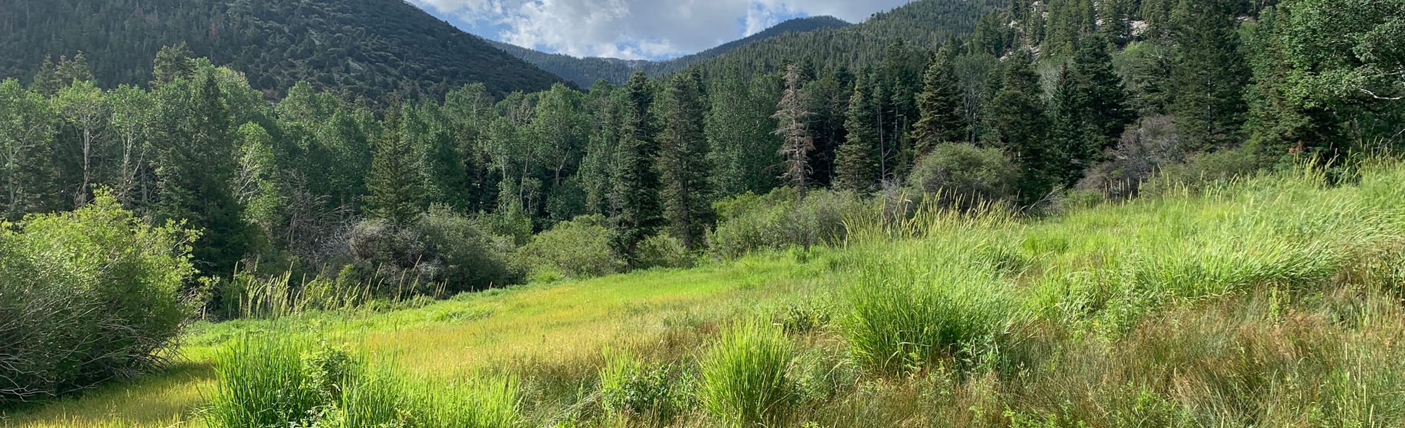 Baker Lake Trail, Nevada 129 Reviews, Map AllTrails