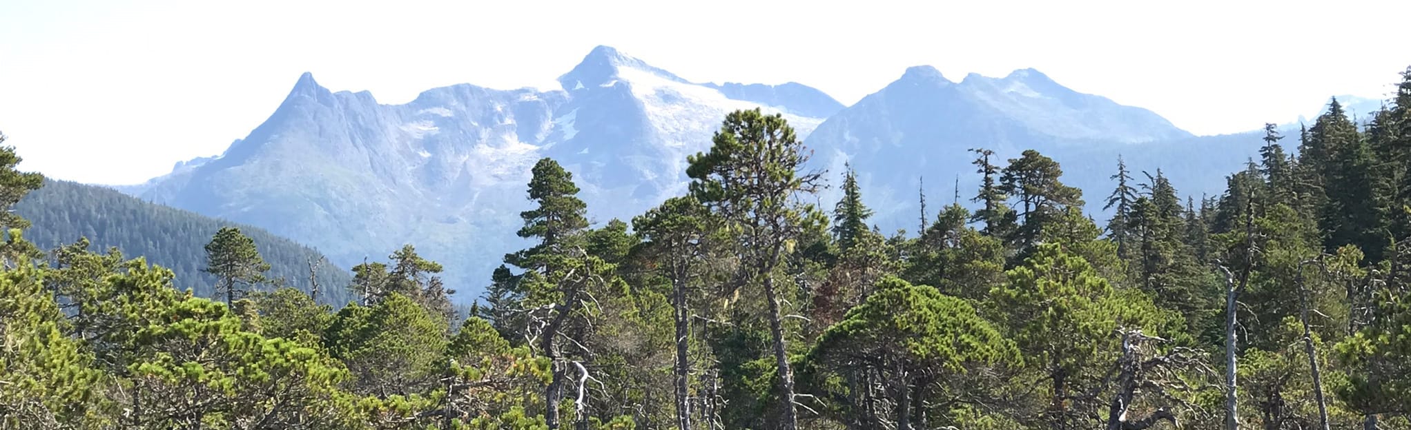 Point Bridget Trail, Cedar Lake Trail, and North Bridget Cove Trail Loop, Alaska 16 Reviews