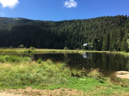 Haibühl, Eck, Kleiner Arbersee, und Sommerau