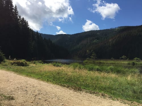 Rundwanderweg Kleiner Arbersee