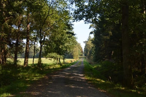 Radrundweg Axstedt