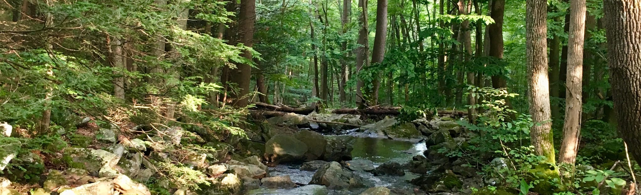 Appalachian Trail Wolfsville Road to High Rock, Maryland 201 Reviews