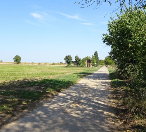 Weingarten, Freisbach, und Schwegenheim