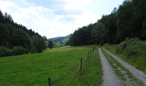 Rundwanderweg Heiligkreuzsteinach 7: Waldeck-Weg