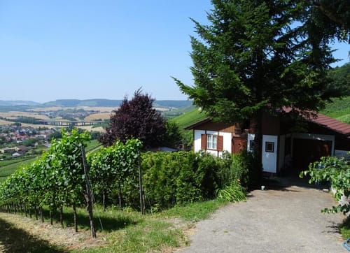 Wanderweg WT8 Wengertschleife