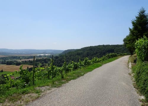 WT9 Panoramaweg