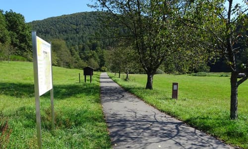 MTB Tour 14: Bundenthal (Dahn-Südost)