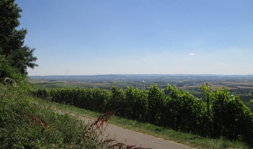 Weinausschankhütte Rundweg am Heuchelberg