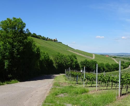 Z4 Per Pedal zur Poesie