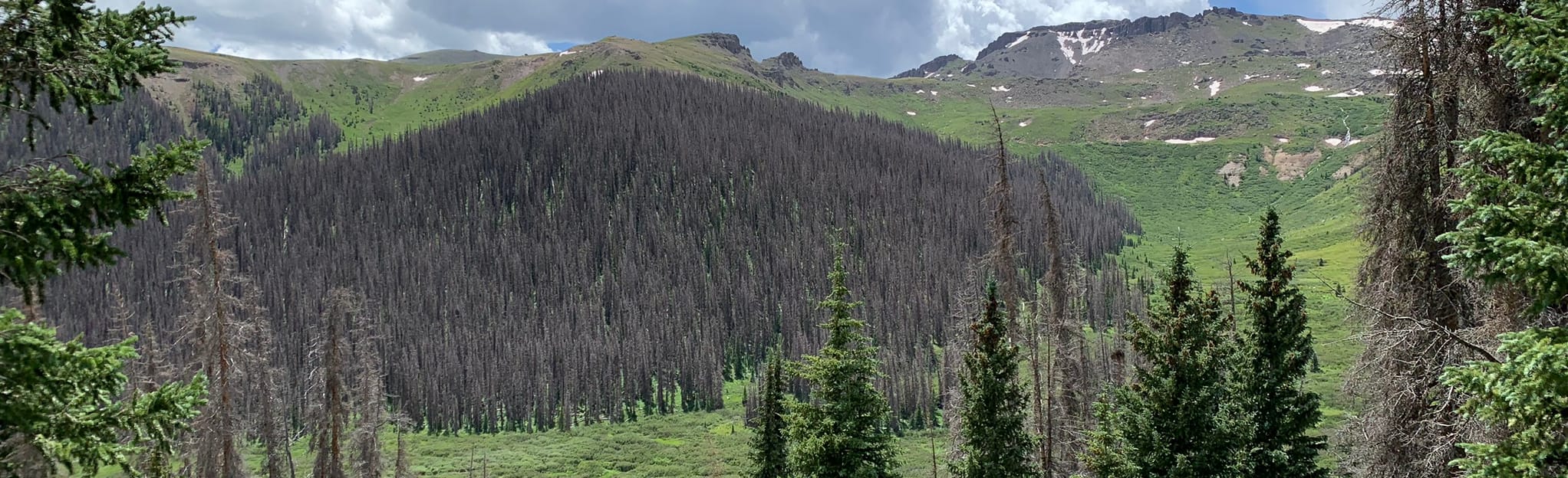 Escape to the Wild: Colorado's Lost Trail Campground - A Nature Lover's Paradise