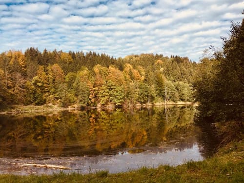 Rundwanderweg Nr. 3 Schönberg
