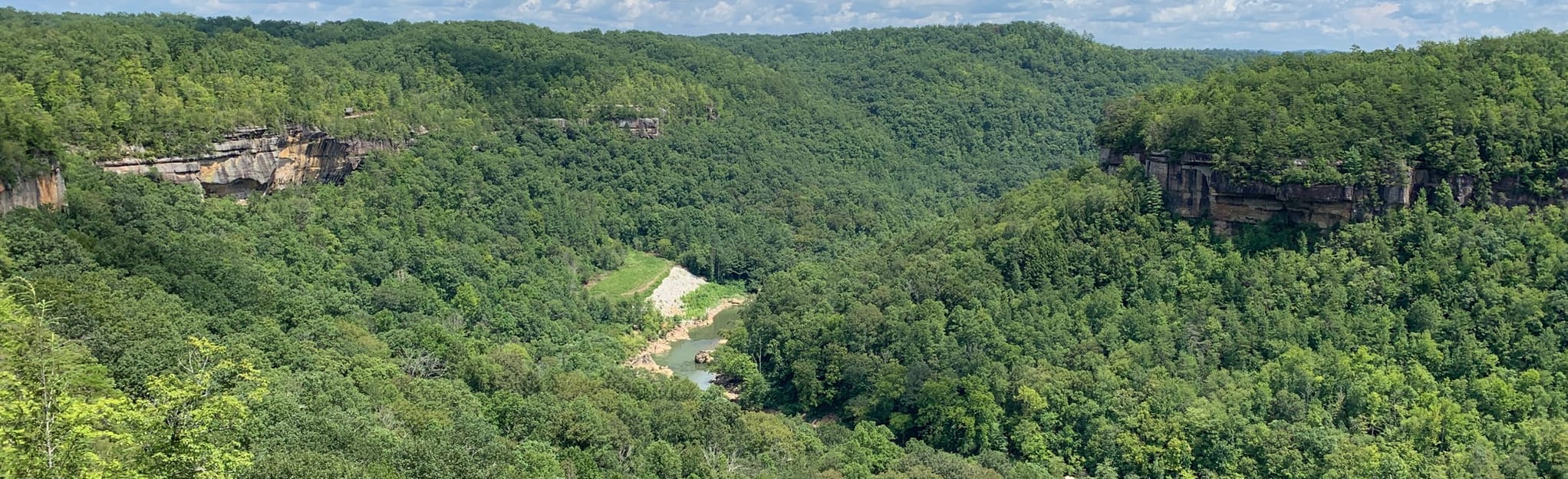 Blue Heron Overlook Trail 149 Fotos Kentucky AllTrails