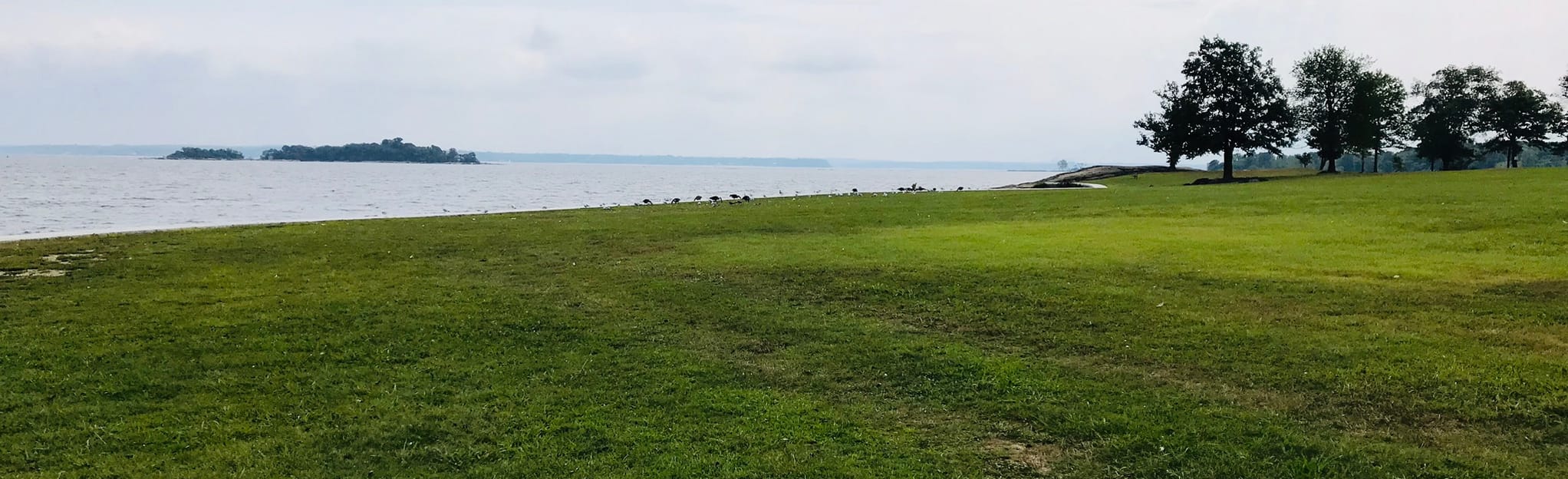 Davenport Park Loop 8 Reviews, Map New York AllTrails