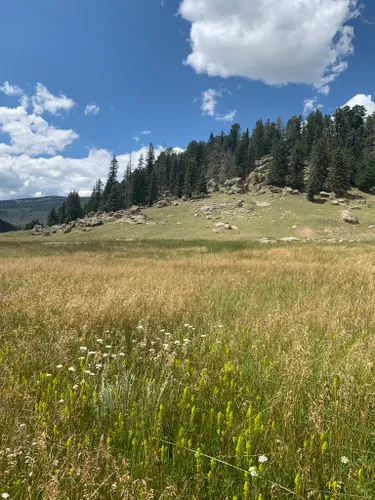 10 Best Hikes and Trails in Valles Caldera National Preserve | AllTrails